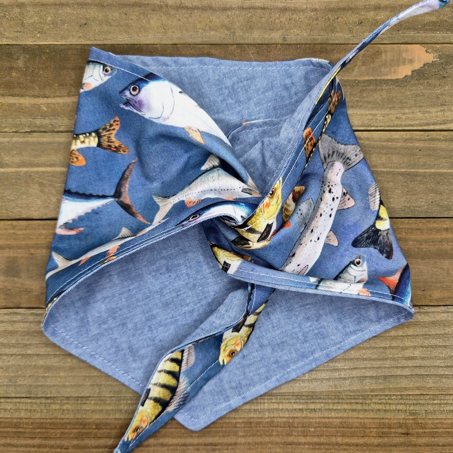 Gone Fishing Reversible Pet Bandana Handmade