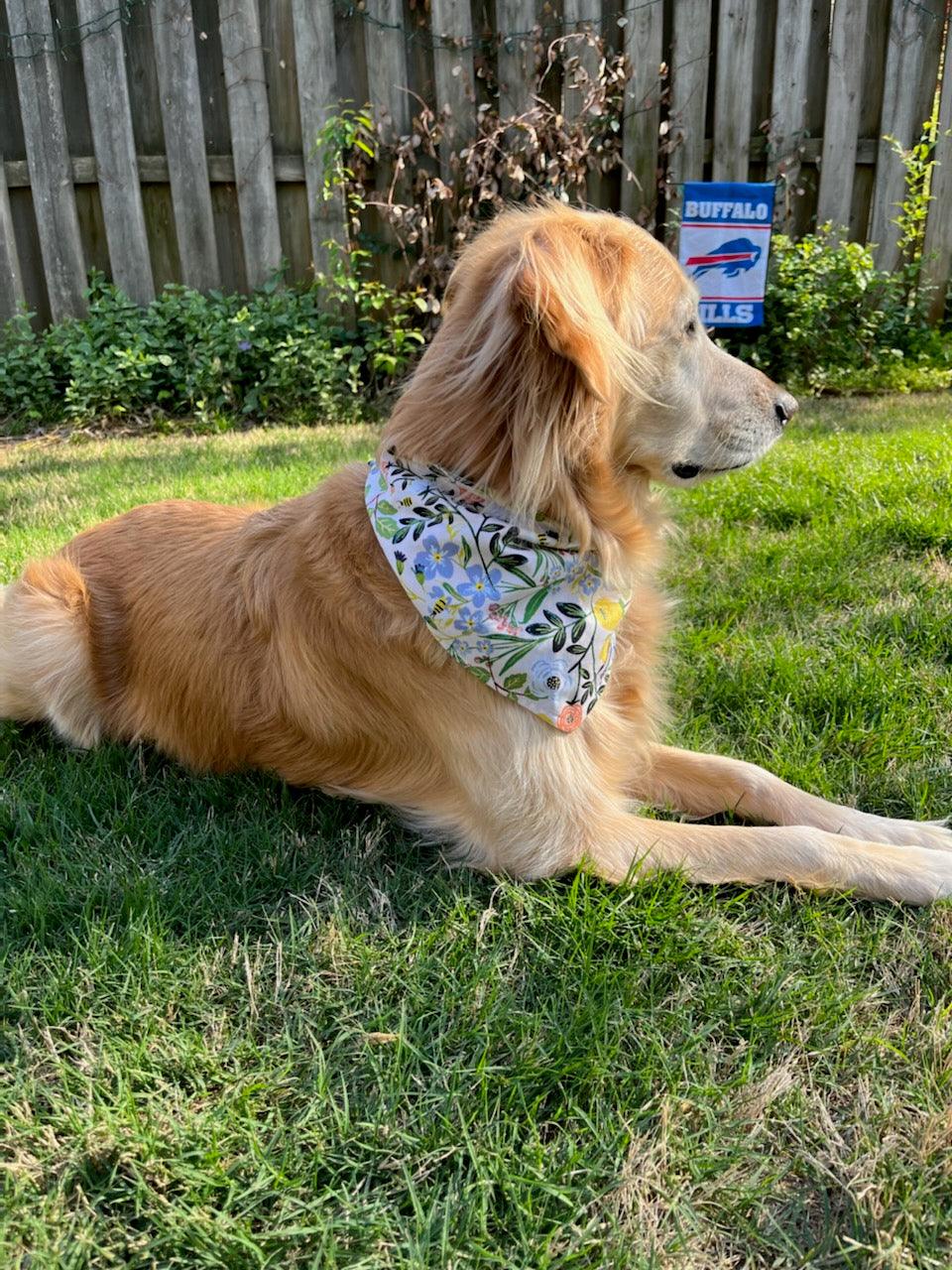 Bee Garden-Navy Dot Pet Bandana - Beeswax Bandanas