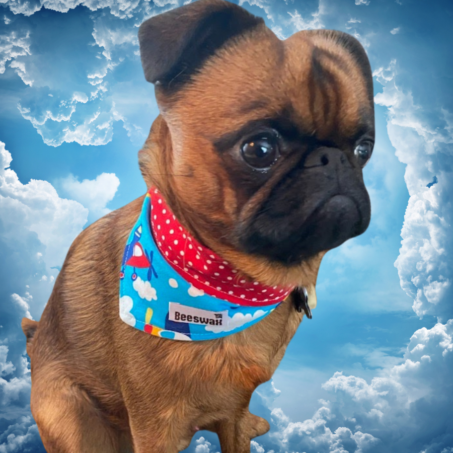 Wheels Up | Reversible Handmade Pet Bandana