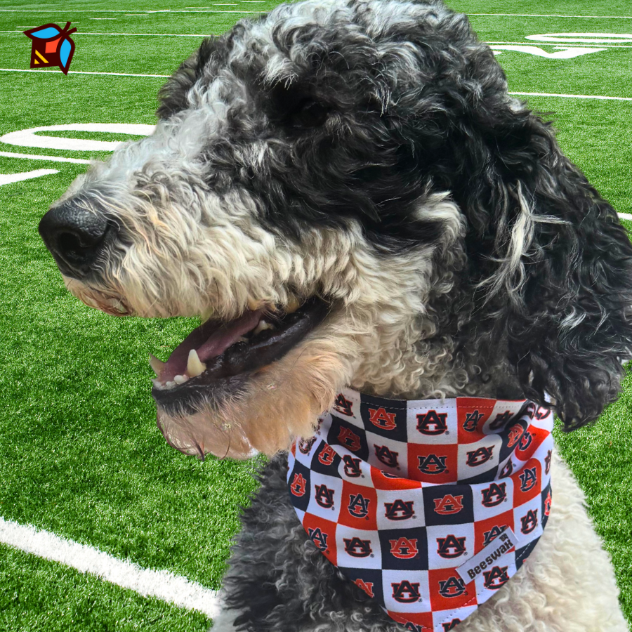 War Eagle Pizza Party Game Day | Reversible Handmade Pet Bandana