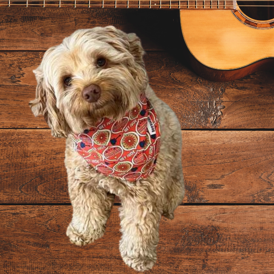 Hey Jude Guitar Solo | Reversible Handmade Pet Bandana