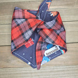 Dinosaur Christmas Red Plaid Pet Bandana - Beeswax Bandanas 