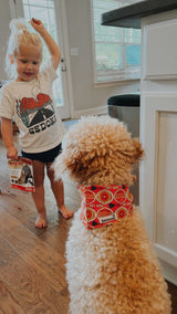 A young child in a white shirt with a graphic and a dog wearing a red bandana are standing in a kitchen, with the child holding a bag of dog food.