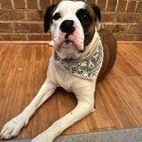 Aztec Linen Pet Bandana - Beeswax Bandanas 