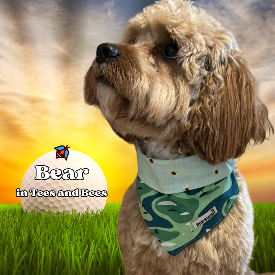 Tees and Bees Reversible Pet Bandana Handmade