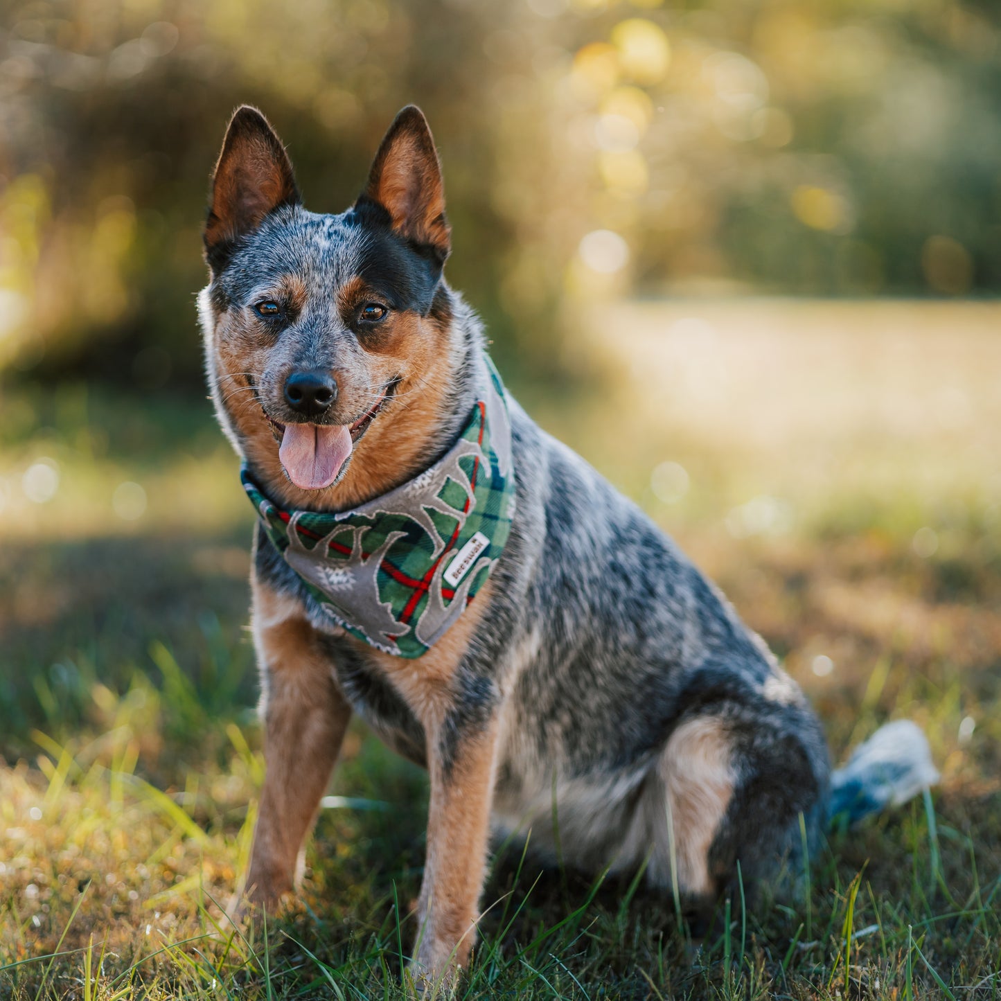 Festive Moose Reversible Flannel Pet Bandana Handmade Cotton Tie-On Style
