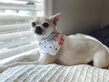 Dotted Roses-Black and White Checkered Pet Bandana - Beeswax Bandanas 