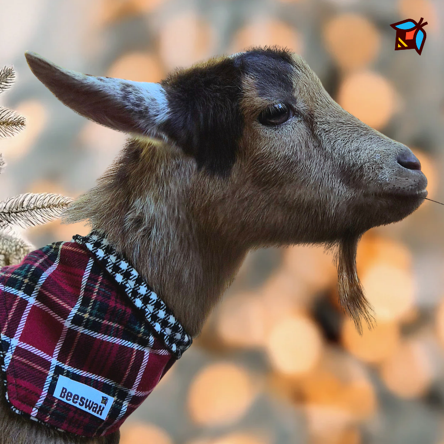 Red Tartan Houndstooth Reversible Flannel Pet Bandana Handmade Cotton Tie-On Style