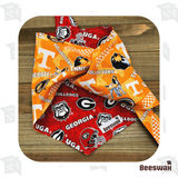 "A House Divided" Georgia Bulldogs and UT Vols Pet Bandana - Beeswax Bandanas 