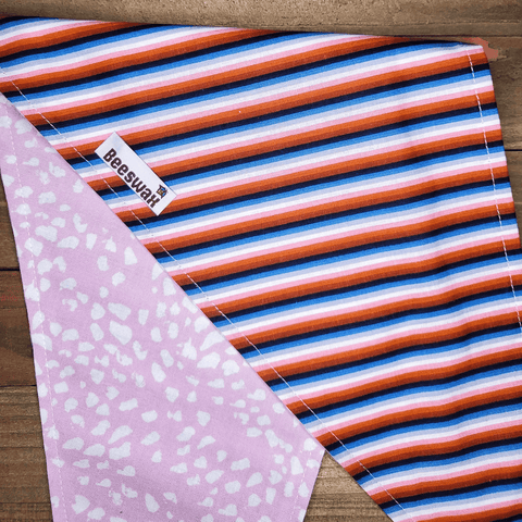 Purple Stripe Pink Dot Pet Bandana - Beeswax Bandanas 