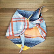 Blue Plaid Sunset Pet Bandana - Beeswax Bandanas 