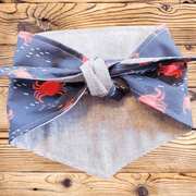 Crabby Chambray Pet Bandana - Beeswax Bandanas 