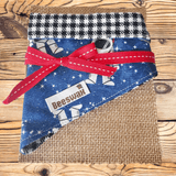 Space Cowboy Pet Bandana - Beeswax Bandanas 