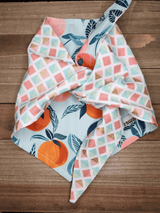 Peaches and Oranges Pet Bandana - Beeswax Bandanas 