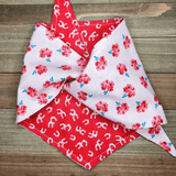 Wildflower Horseshoes Pet Bandana - Beeswax Bandanas 