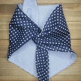 Pinstripes and Polka Dots Pet Bandana - Beeswax Bandanas 