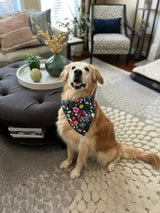 Mushroom Garden-Navy Dot Pet Bandana - Beeswax Bandanas 