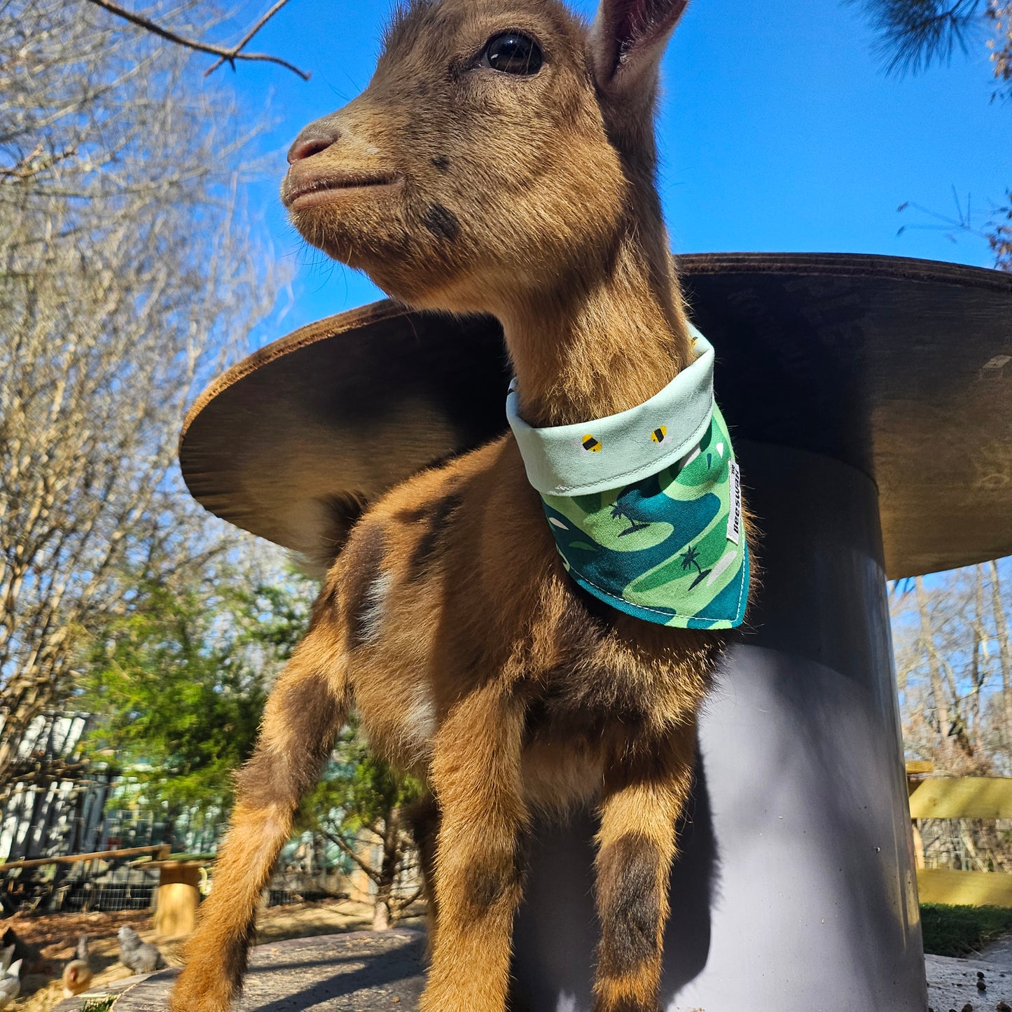 Tees and Bees | Reversible Handmade Pet Bandana