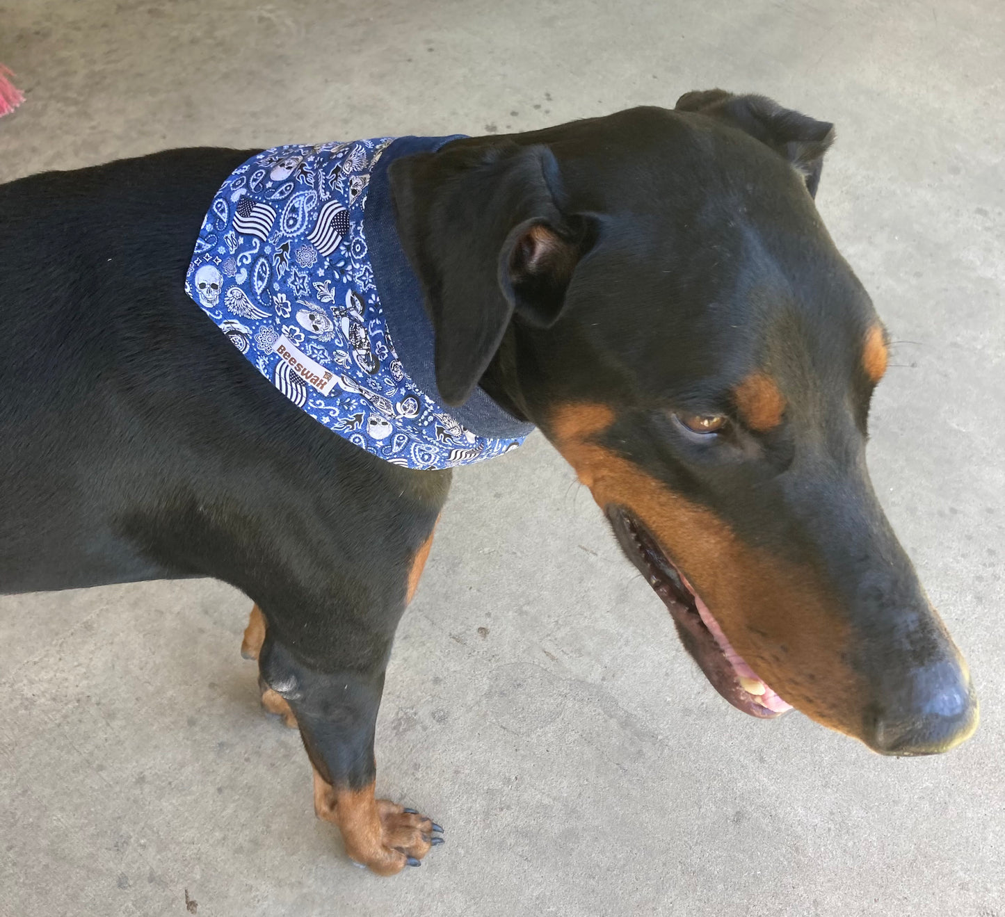 Biker Denim | Reversible Handmade Pet Bandana